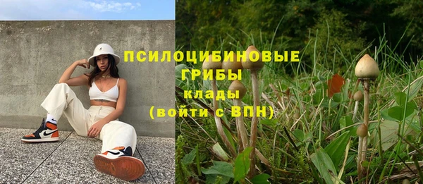 Альфа ПВП Аркадак