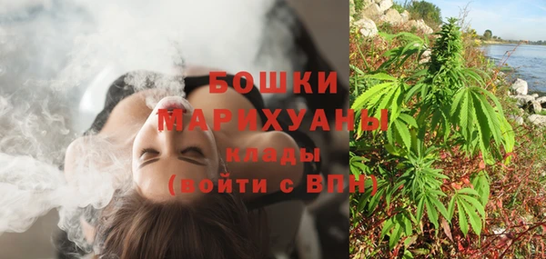 Альфа ПВП Аркадак