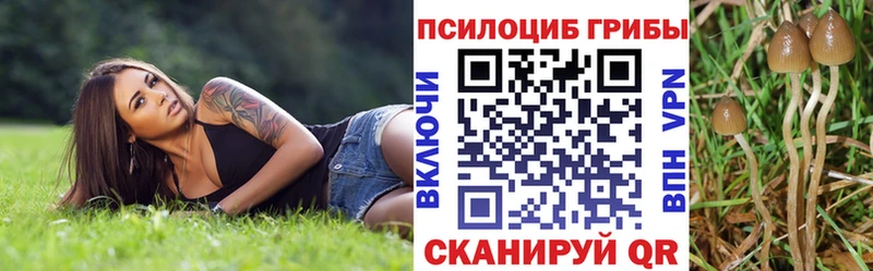 Псилоцибиновые грибы Psilocybe  Безенчук 